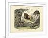 Mammals, C.1860-null-Framed Giclee Print