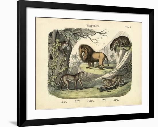 Mammals, C.1860-null-Framed Giclee Print