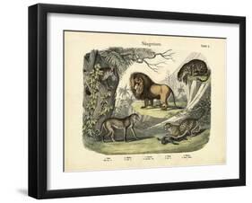 Mammals, C.1860-null-Framed Giclee Print