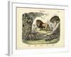 Mammals, C.1860-null-Framed Giclee Print