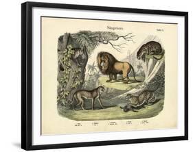 Mammals, C.1860-null-Framed Giclee Print