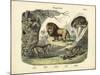 Mammals, C.1860-null-Mounted Giclee Print