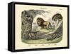 Mammals, C.1860-null-Framed Stretched Canvas