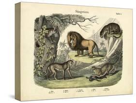 Mammals, C.1860-null-Stretched Canvas