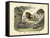 Mammals, C.1860-null-Framed Stretched Canvas