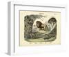 Mammals, C.1860-null-Framed Giclee Print