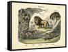 Mammals, C.1860-null-Framed Stretched Canvas