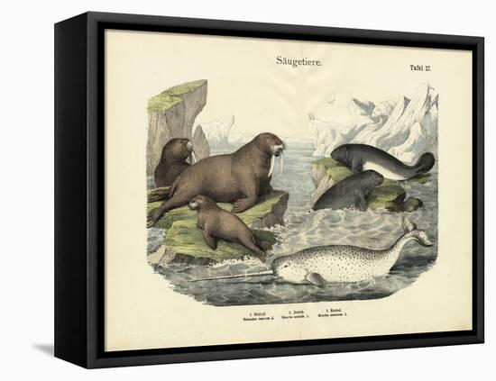 Mammals, C.1860-null-Framed Stretched Canvas