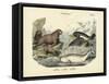 Mammals, C.1860-null-Framed Stretched Canvas