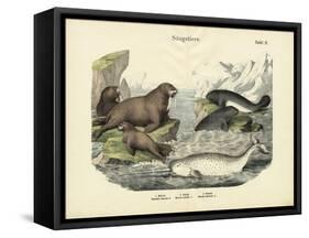 Mammals, C.1860-null-Framed Stretched Canvas