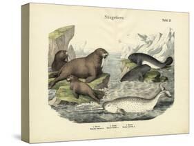 Mammals, C.1860-null-Stretched Canvas