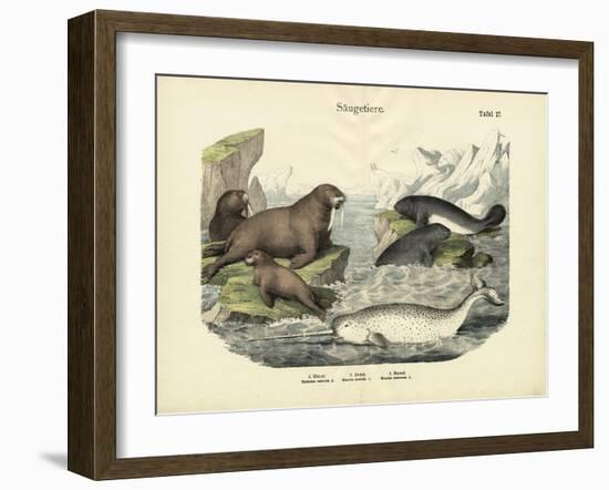 Mammals, C.1860-null-Framed Giclee Print