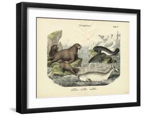 Mammals, C.1860-null-Framed Giclee Print