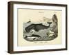 Mammals, C.1860-null-Framed Giclee Print