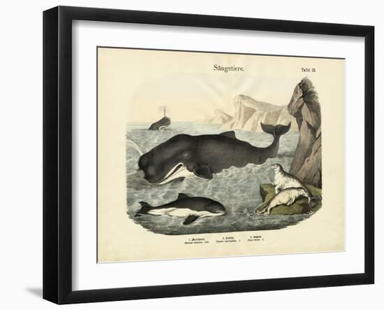 Mammals, C.1860-null-Framed Giclee Print