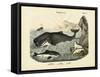 Mammals, C.1860-null-Framed Stretched Canvas