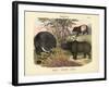 Mammals, C.1860-null-Framed Giclee Print