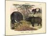 Mammals, C.1860-null-Mounted Giclee Print