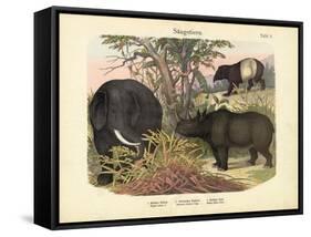 Mammals, C.1860-null-Framed Stretched Canvas