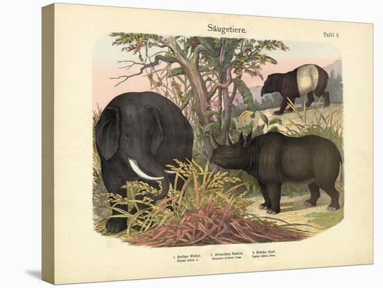 Mammals, C.1860-null-Stretched Canvas