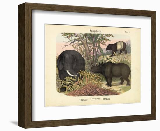 Mammals, C.1860-null-Framed Giclee Print