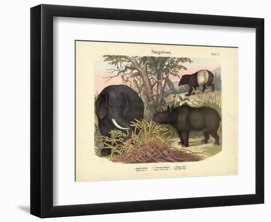 Mammals, C.1860-null-Framed Giclee Print