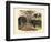 Mammals, C.1860-null-Framed Giclee Print