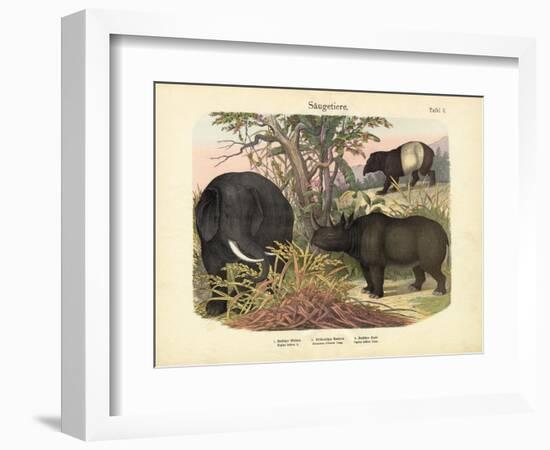 Mammals, C.1860-null-Framed Giclee Print