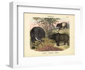 Mammals, C.1860-null-Framed Giclee Print