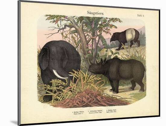 Mammals, C.1860-null-Mounted Giclee Print