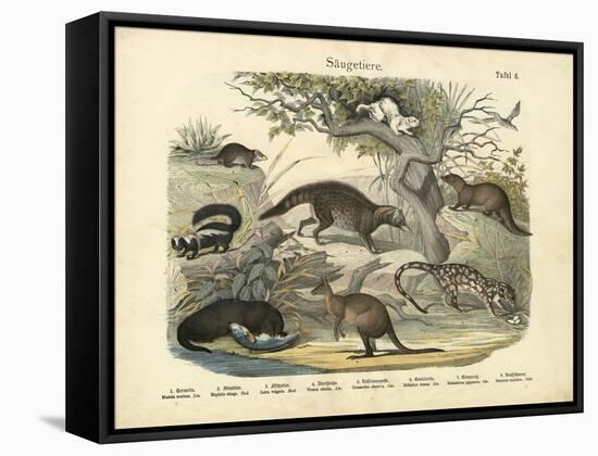 Mammals, C.1860-null-Framed Stretched Canvas