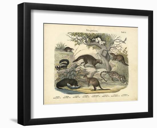 Mammals, C.1860-null-Framed Giclee Print