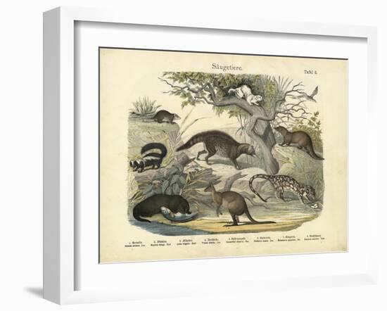 Mammals, C.1860-null-Framed Giclee Print