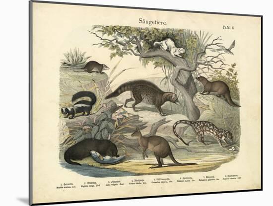 Mammals, C.1860-null-Mounted Giclee Print