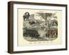 Mammals, C.1860-null-Framed Giclee Print