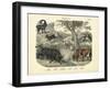 Mammals, C.1860-null-Framed Giclee Print