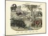 Mammals, C.1860-null-Mounted Giclee Print