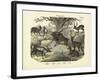 Mammals, C.1860-null-Framed Giclee Print