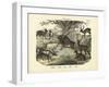 Mammals, C.1860-null-Framed Giclee Print