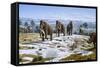 Mammals of the Pleistocene Era-Mauricio Anton-Framed Stretched Canvas