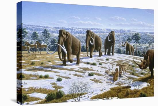 Mammals of the Pleistocene Era-Mauricio Anton-Stretched Canvas