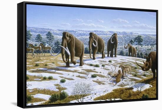 Mammals of the Pleistocene Era-Mauricio Anton-Framed Stretched Canvas
