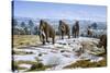 Mammals of the Pleistocene Era-Mauricio Anton-Stretched Canvas