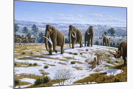 Mammals of the Pleistocene Era-Mauricio Anton-Mounted Photographic Print