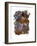 Mammals-Wendy Edelson-Framed Giclee Print