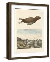 Mammals-null-Framed Giclee Print