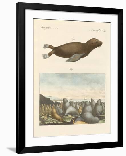 Mammals-null-Framed Giclee Print