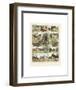 Mammiferes II-Adolphe Millot-Framed Art Print