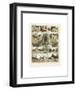 Mammiferes II-Adolphe Millot-Framed Art Print