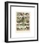 Mammiferes II-Adolphe Millot-Framed Giclee Print